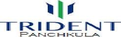 trident Logo